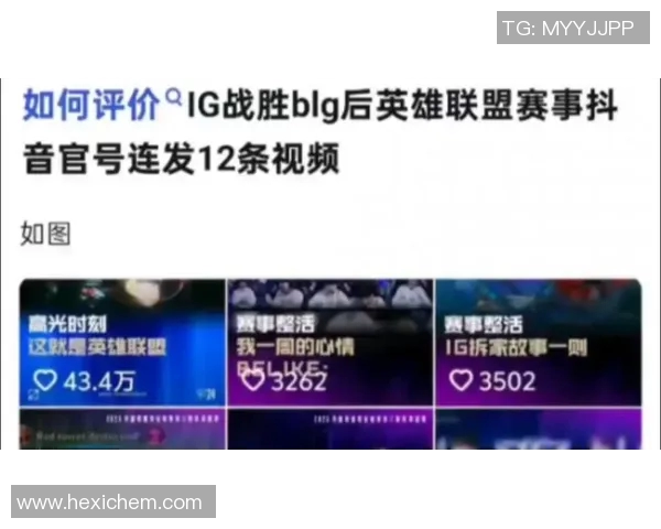 英雄联盟热议WE战队比赛经验引发的争议与反思