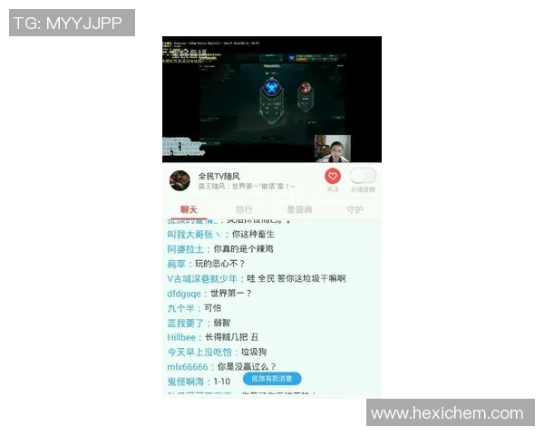 esports数据电竞数据分析师张敏揭秘王者荣耀成功背后的策略与经验分享
